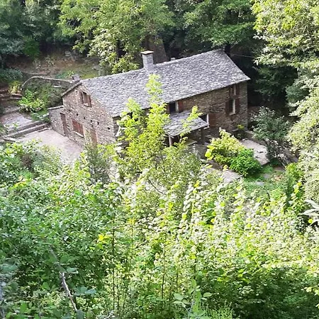 Bungalow De 2 Chambres A Sorbo Ocagnano Avec Jardin Amenage Et Wifi A 150 M De La Plage Sorbo-Ocagnano
